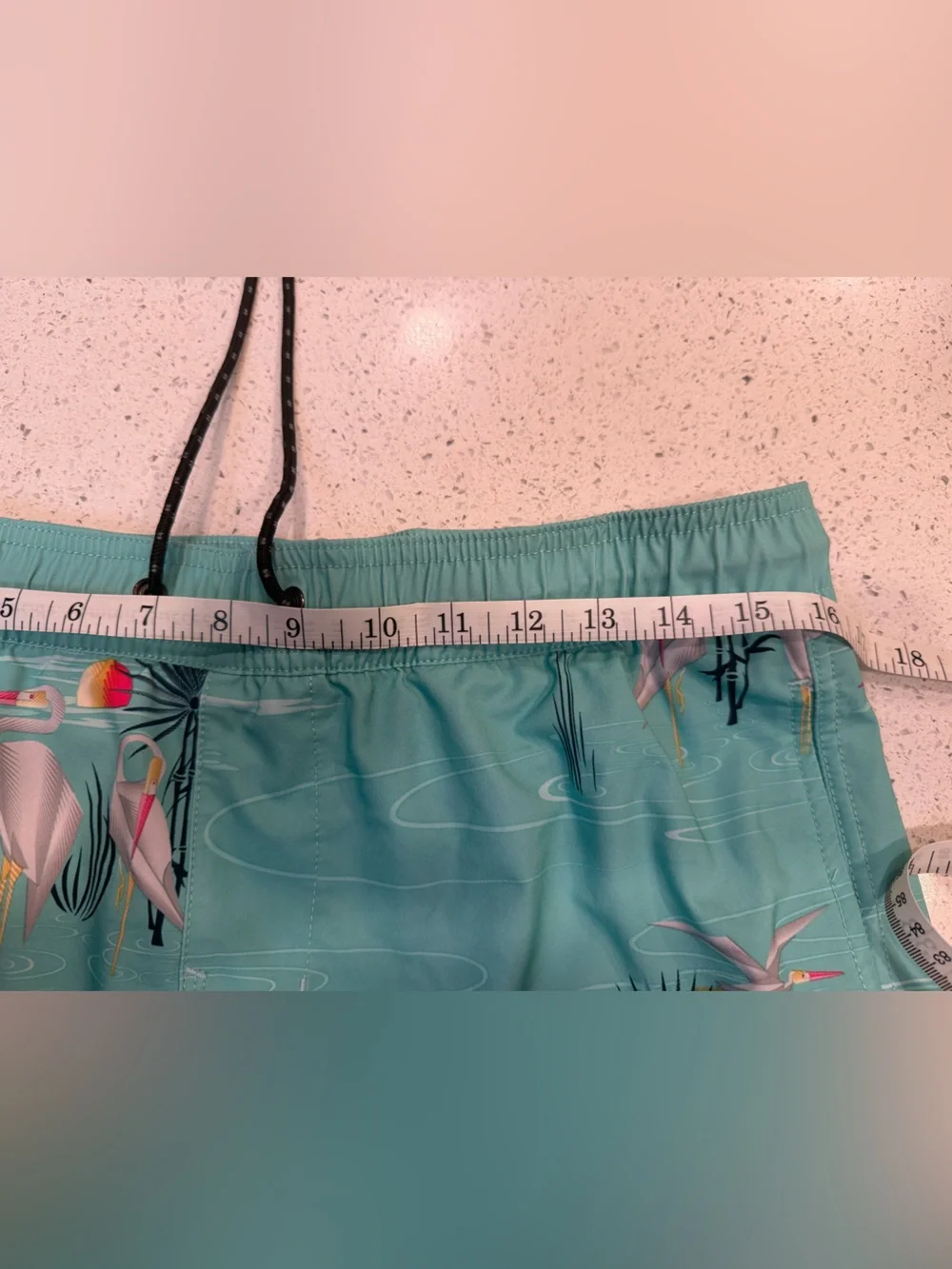 Billabong Aqua Pelican Print Board Shorts with Sunset Accents